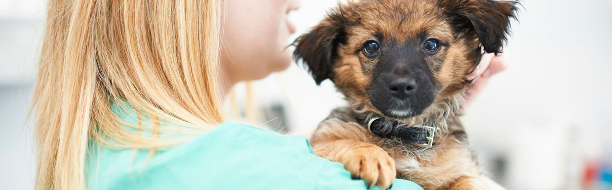 Working together on the safe disposal of your pets’ unused antibiotics