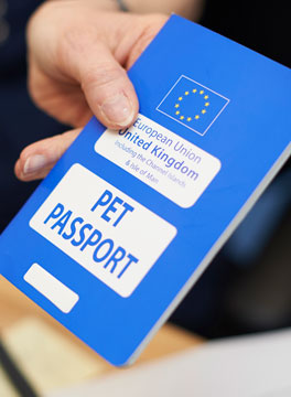 Pet passports and Brexit