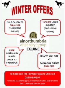 Equine Winter Offers 2019