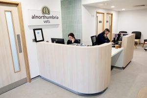 Alnorthumbria-Vets-Lisa-Rasmussen-Receptionist-colleague