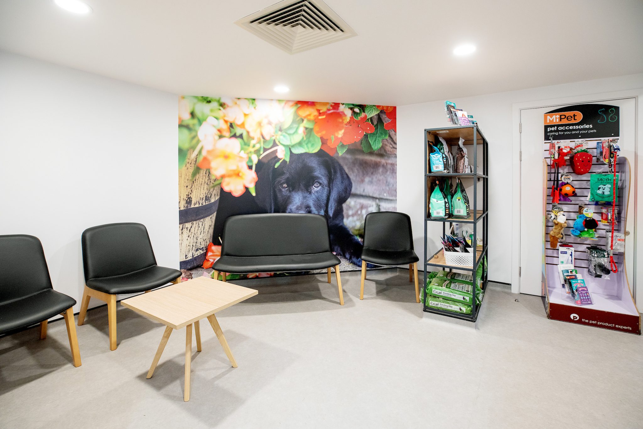 HAVE YOU VISITED OUR NEW PONTELAND SURGERY? Alnorthumbria Veterinary