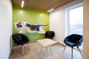 Alnorthumbria-Vets-reception-seating-area